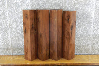 Thumbnail for 4- Black Walnut Rustic Kiln Dried 4x4/Turning Blocks/Blanks 9188